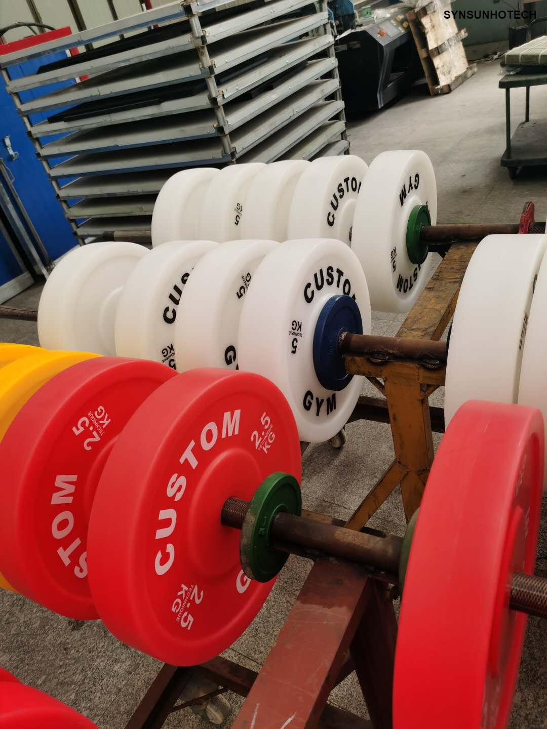 Plastic TECHNIQUE Barbell Plate
