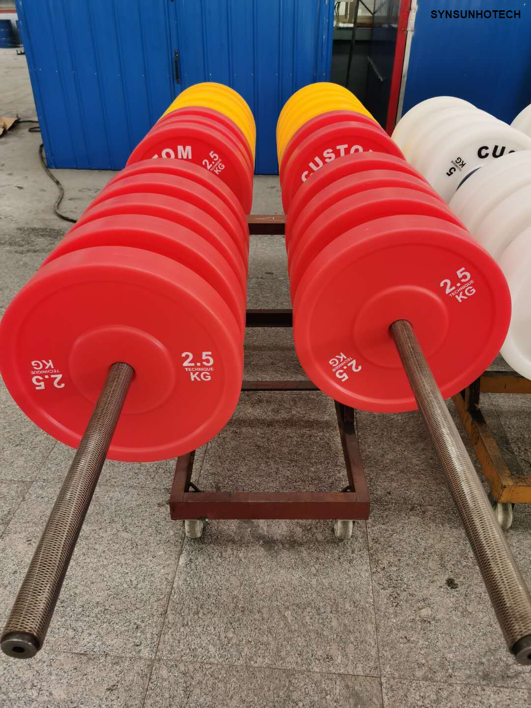 Plastic TECHNIQUE Barbell Plate