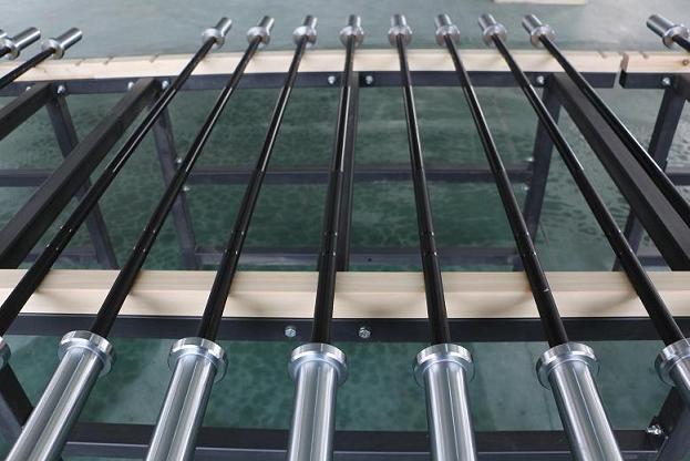 10KG technical barbell 