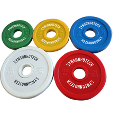 Fractional Bumper Weight Plate 